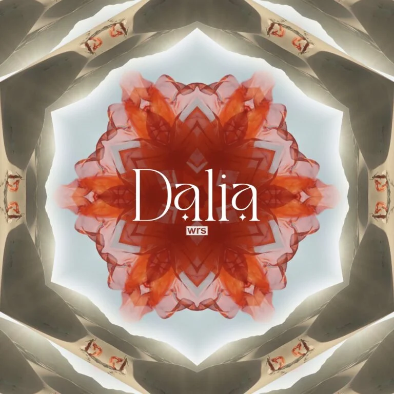 wrs - dalia