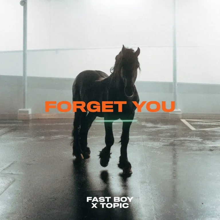 Fast Boy x TOPIC x Forget You