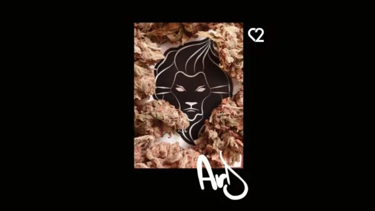 Dorian feat. IOVA - Ard