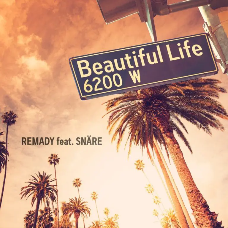 REMADY face echipă cu SNARE pentru Beautiful Life