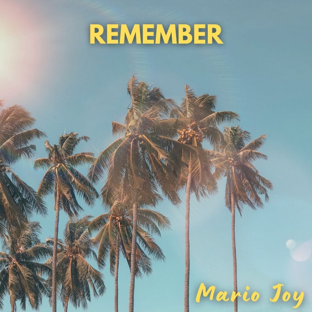 Mario Joy - Remember cover art